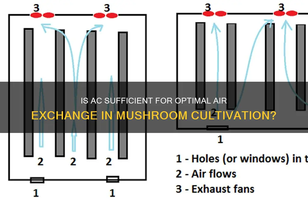 is ac enough for air exchange mushrooms