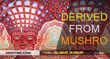 Mushroom Magic: Acid Origins and Effects