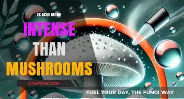 Acid vs. Mushrooms: Comparing Intensity, Effects, and Experiences