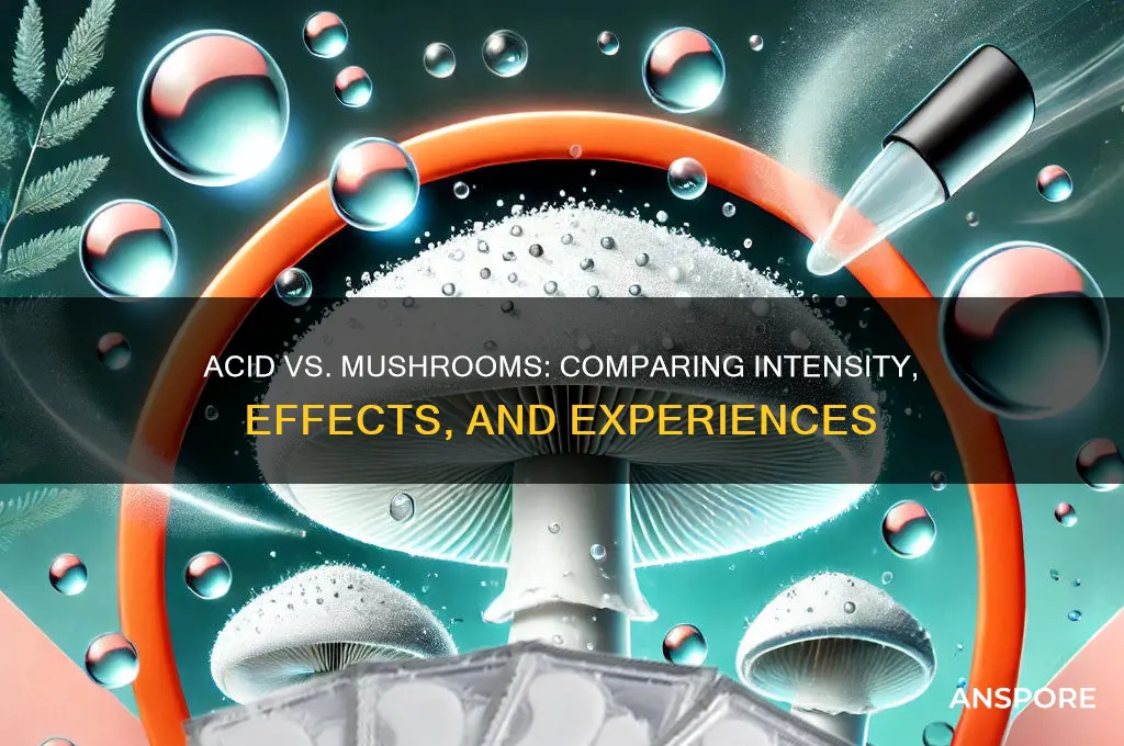 is acid more intense than mushrooms