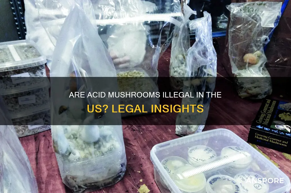 is acid mushrooms illegal in the us