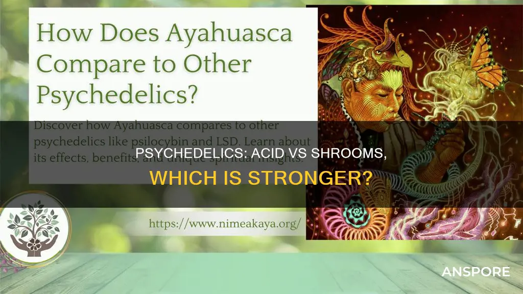 is acid or mushrooms stronger