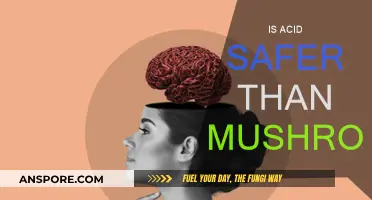 Psychedelics: Acid vs. Mushrooms — Which Is Safer?