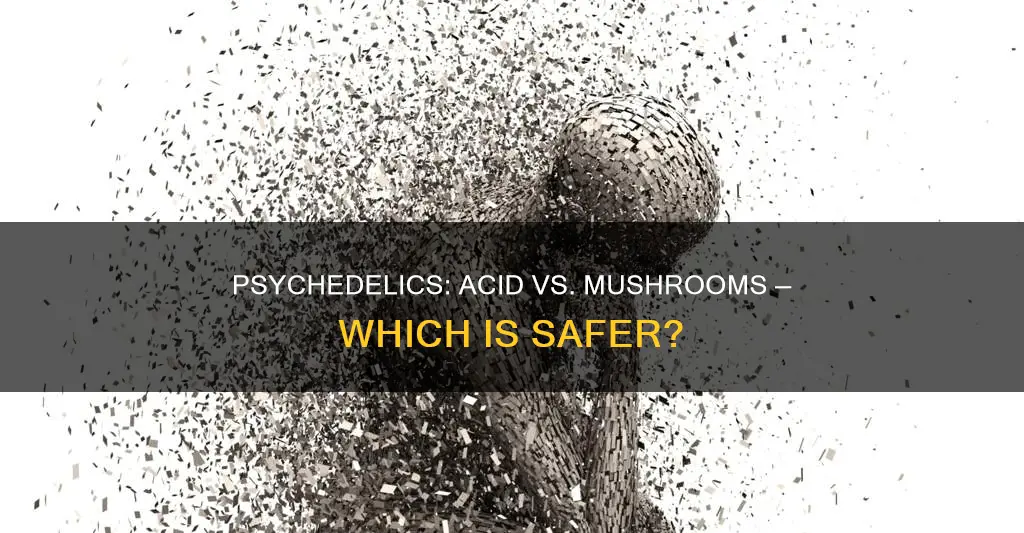 is acid safer than mushrooms