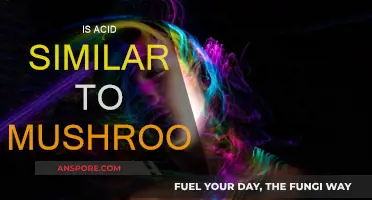 Psychedelics: Acid and Mushrooms Compared