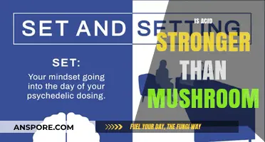 Psychedelics: Acid Trips vs Shroom Magic