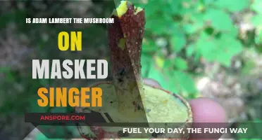 Is Adam Lambert the Mushroom on The Masked Singer?