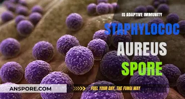Understanding Adaptive Immunity Against Staphylococcus Aureus Spores: Facts and Myths
