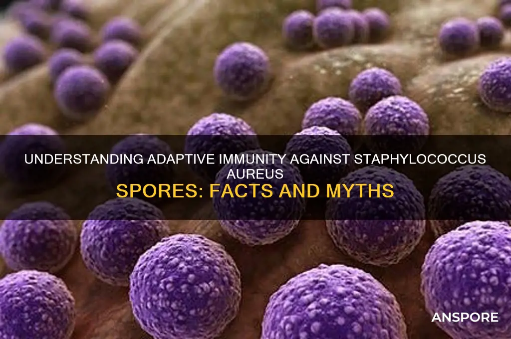 is adaptive immunity staphylococcus aureus spore