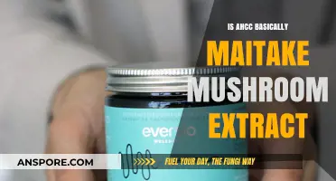 Is AHCC Just Maitake Mushroom Extract? Unraveling the Connection