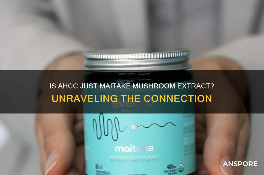 is ahcc basically maitake mushroom extract