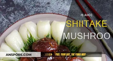 Shiitake's AHCC: The Ultimate Immune-Boosting Power