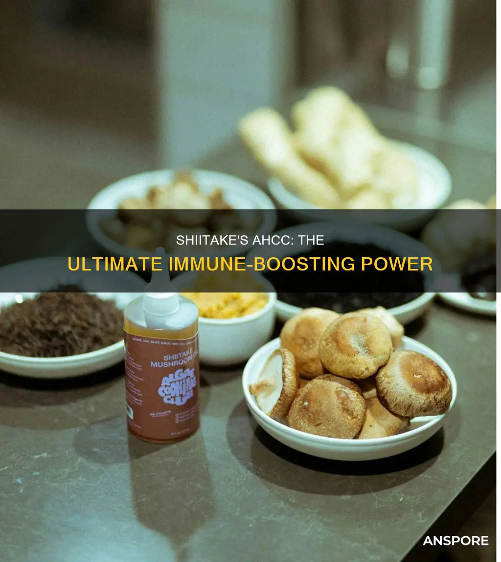 is ahcc shiitake mushrooms