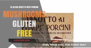 Is Alessi Risotto with Porcini Mushrooms Gluten-Free? Find Out!