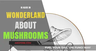 Alice in Wonderland: Mushroom-Induced Fantasy or Symbolic Tale?