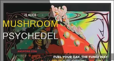 Psychedelic Alice Mushrooms: A Trippy Adventure