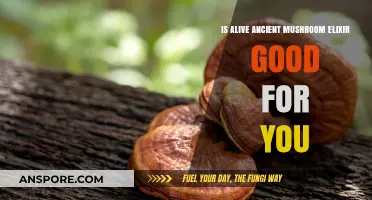 Ancient Mushroom Elixir: Unveiling Health Benefits and Modern Relevance