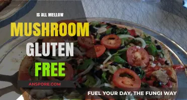 Is Mellow Mushroom Gluten-Free? Exploring Menu Options and Safety