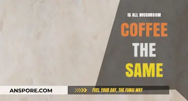 Not All Mushroom Coffee is Equal: Unveiling the Differences