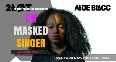 Is Aloe Blacc the Mushroom on The Masked Singer?