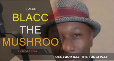 Aloe Blacc: Is He the Mushroom Man?