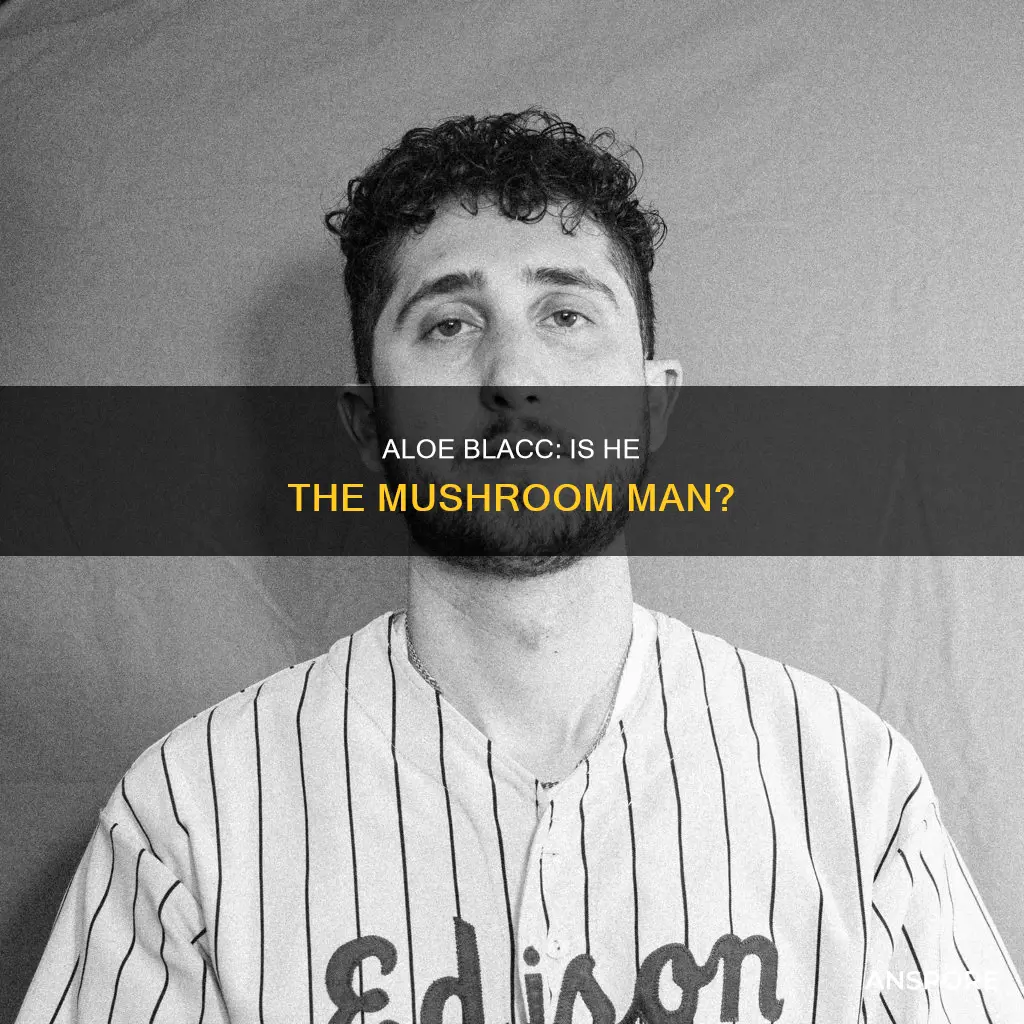 is aloe blacc the mushroom