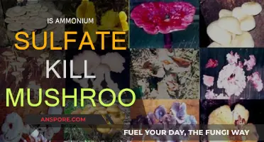Ammonium Sulfate: Effective Mushroom Killer?