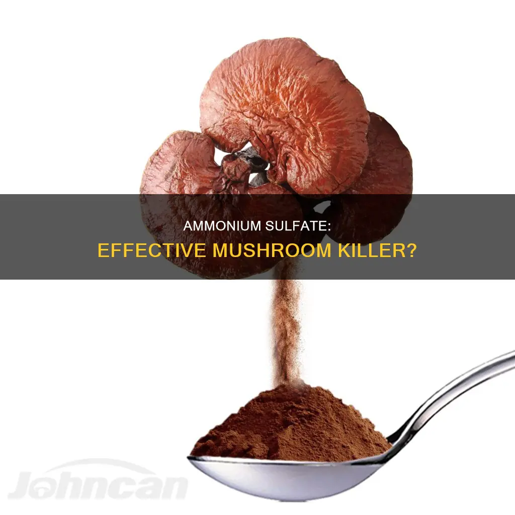 is ammonium sulfate kill mushrooms