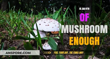 Exploring the Adequacy of an Eighth of Mushrooms for Your Needs