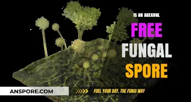 Exploring Asexual Reproduction: Are Fungal Spores Truly Free-Living?