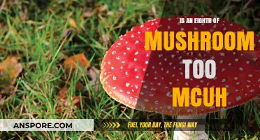 Is an Eighth of Mushrooms Too Much? Dosage Insights