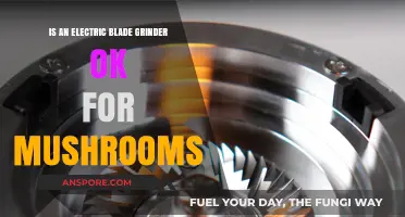 Electric Blade Grinder for Mushrooms: Effective or Not?