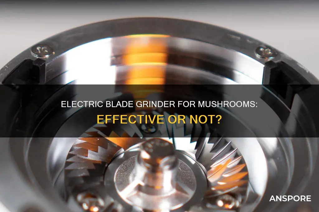 is an electric blade grinder ok for mushrooms