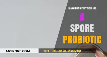 Ancient Nutrition SBO: Unveiling the Power of Spore-Based Probiotics