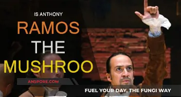Anthony Ramos: The Mushroom Man's Identity Mystery