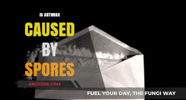 Understanding Anthrax: The Role of Spores in Causing the Disease