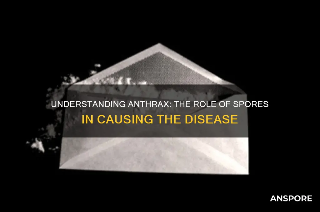 is anthrax caused by spores