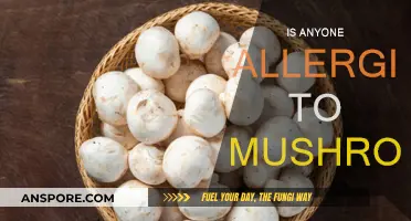 Mushroom Allergies: Who's at Risk and Why?
