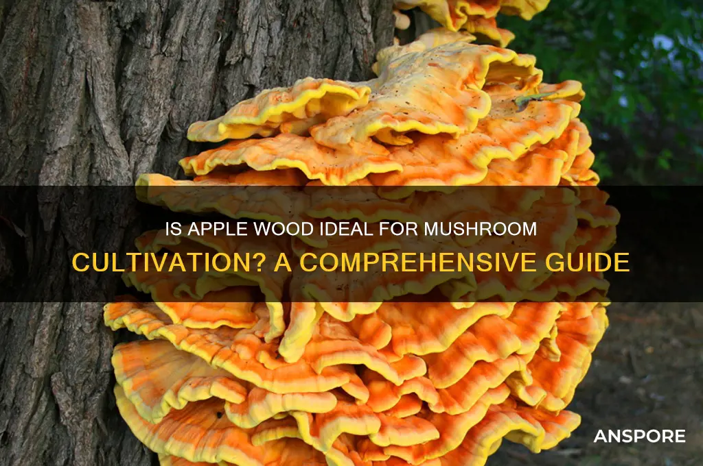 is apple wood good for growing mushrooms