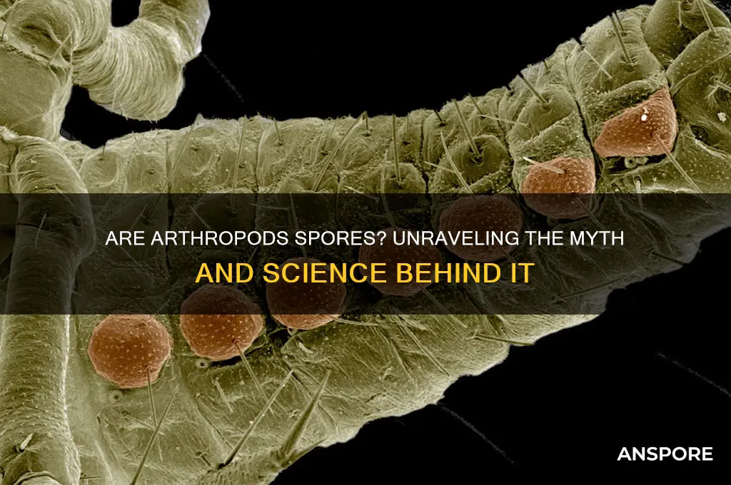 is arthropod a spore