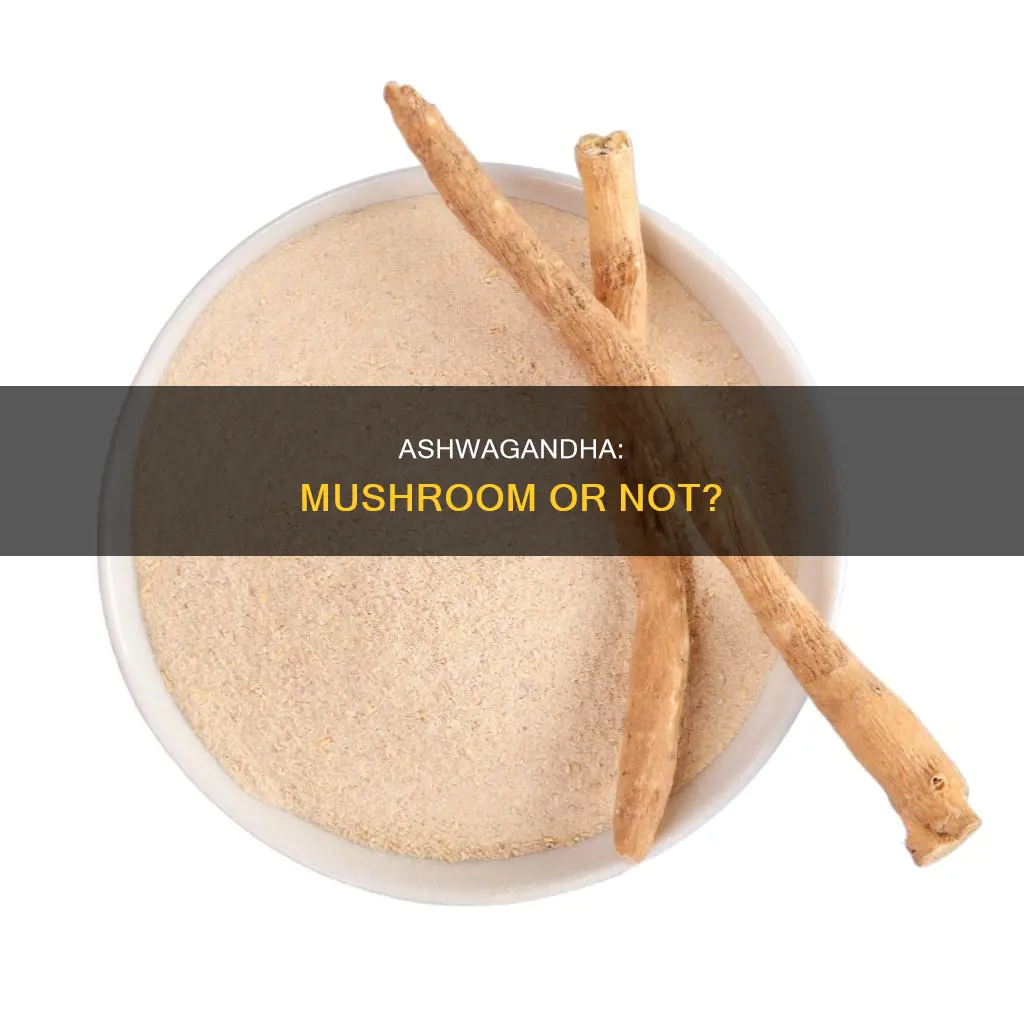 is ashwagandha a mushroom