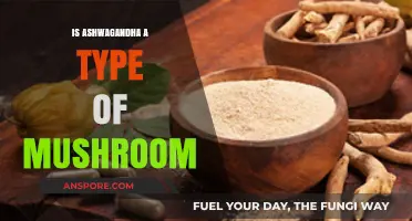 Ashwagandha vs. Mushrooms: Unraveling the Herbal Mystery and Misconceptions