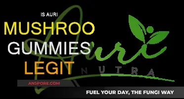 Are Auri Mushroom Gummies Legit?