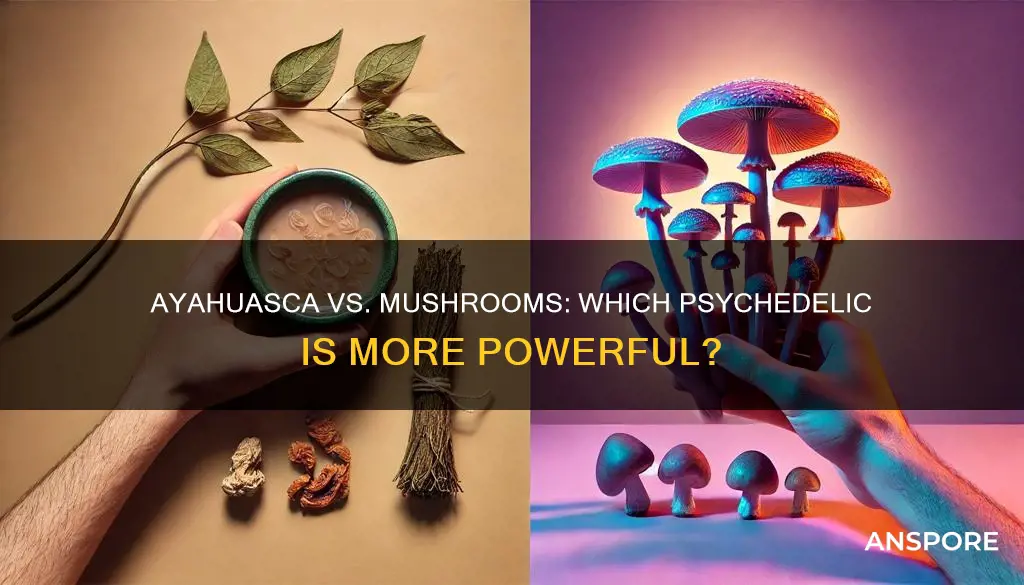 is ayahuasca stronger than mushrooms
