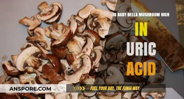 Baby Bella Mushrooms and Uric Acid: What You Need to Know