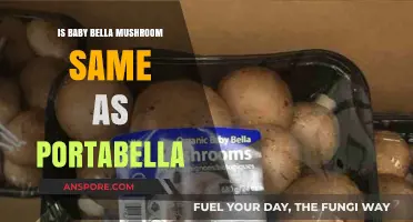 Baby Bella vs. Portabella: Are They the Same Mushroom?