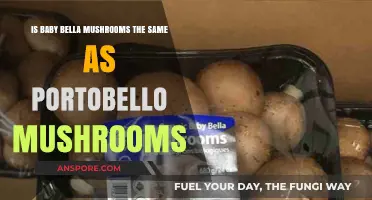 Baby Bella vs. Portobello: Are These Mushrooms Truly Identical?