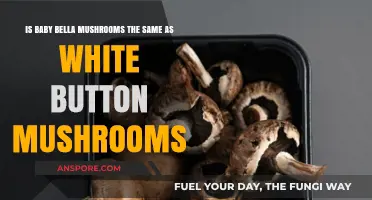Baby Bella vs. White Button Mushrooms: Are They the Same?