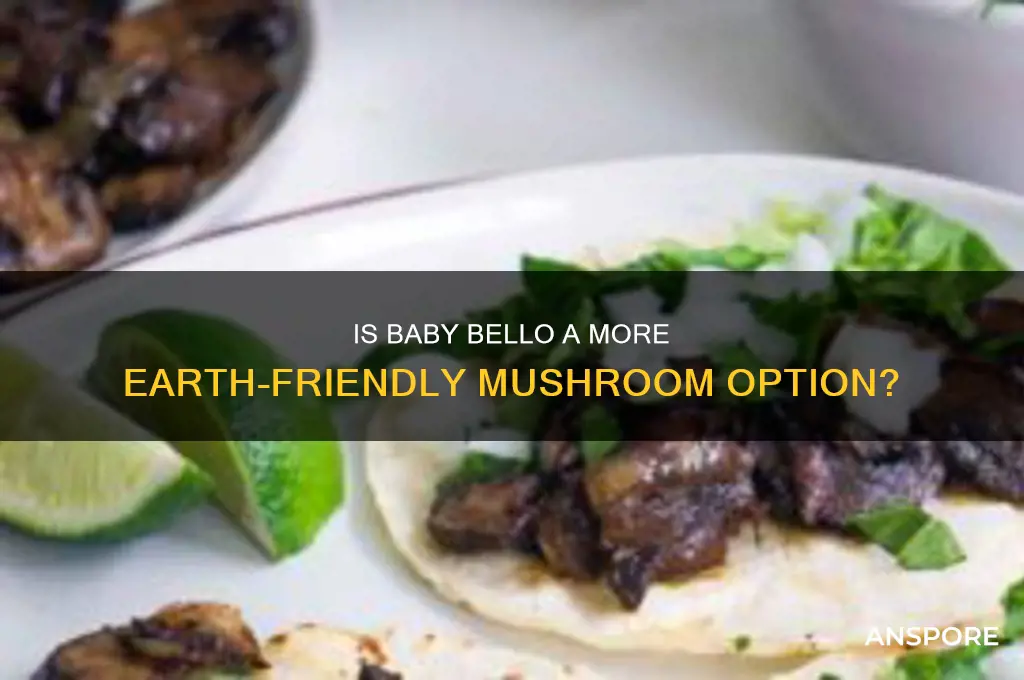 is baby bello a more earth mushroom