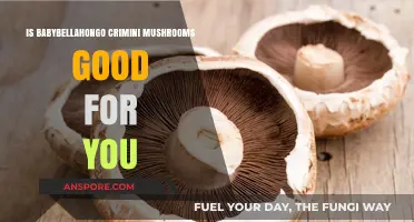 BabyBellaHongos Crimini Mushrooms: Health Benefits and Nutritional Value Explained